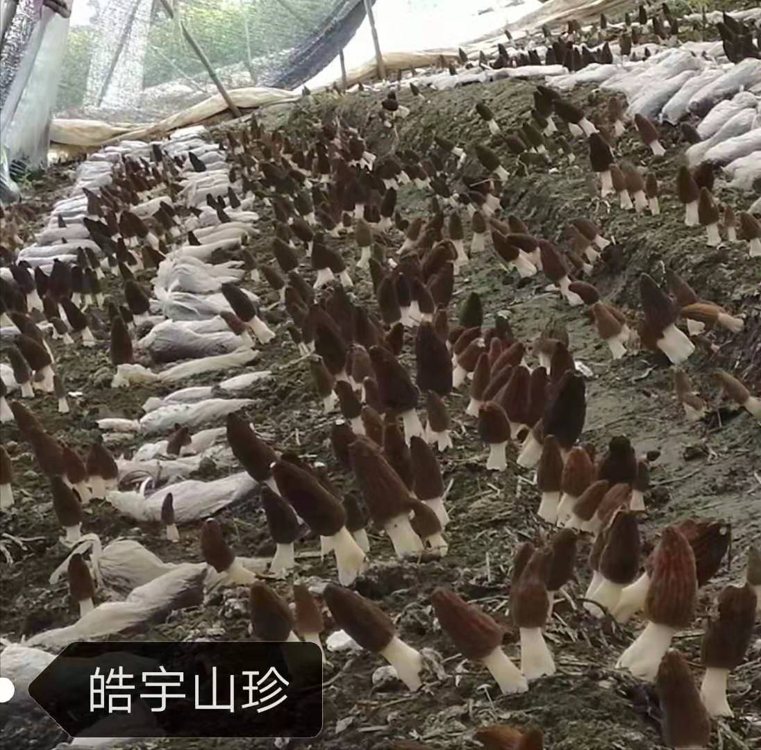 &#98;&#115;&#112;&#111;&#114;&#116;&#115;&#45;&#98;&#40;&#20013;&#22269;&#41;&#19968;&#31449;&#24335;&#20307;&#32946;&#26381;&#21153;&#23448;&#26041;&#32593;&#31449;