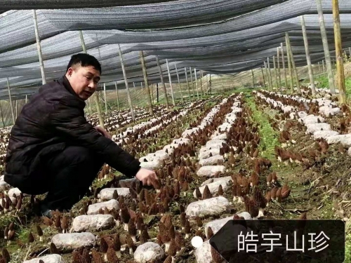 &#98;&#115;&#112;&#111;&#114;&#116;&#115;&#45;&#98;&#40;&#20013;&#22269;&#41;&#19968;&#31449;&#24335;&#20307;&#32946;&#26381;&#21153;&#23448;&#26041;&#32593;&#31449;