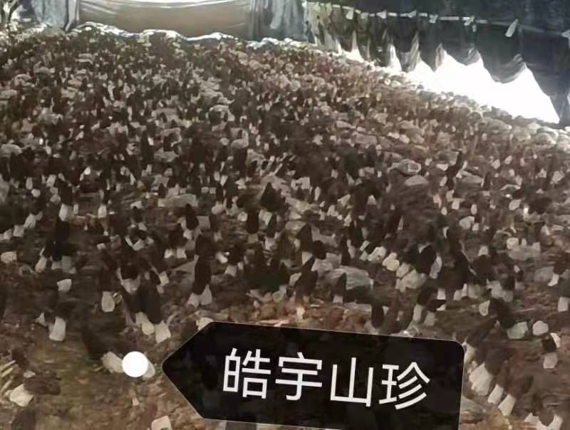 &#98;&#115;&#112;&#111;&#114;&#116;&#115;&#45;&#98;&#40;&#20013;&#22269;&#41;&#19968;&#31449;&#24335;&#20307;&#32946;&#26381;&#21153;&#23448;&#26041;&#32593;&#31449;