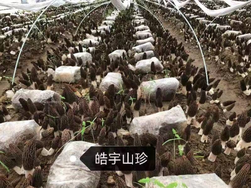 &#98;&#115;&#112;&#111;&#114;&#116;&#115;&#45;&#98;&#40;&#20013;&#22269;&#41;&#19968;&#31449;&#24335;&#20307;&#32946;&#26381;&#21153;&#23448;&#26041;&#32593;&#31449;