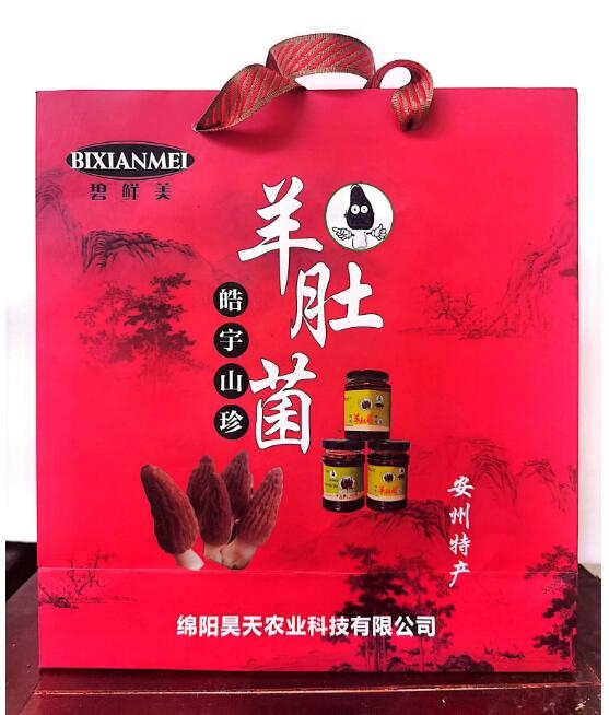 &#98;&#115;&#112;&#111;&#114;&#116;&#115;&#45;&#98;&#40;&#20013;&#22269;&#41;&#19968;&#31449;&#24335;&#20307;&#32946;&#26381;&#21153;&#23448;&#26041;&#32593;&#31449;