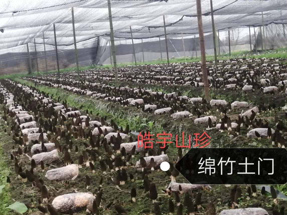 &#98;&#115;&#112;&#111;&#114;&#116;&#115;&#45;&#98;&#40;&#20013;&#22269;&#41;&#19968;&#31449;&#24335;&#20307;&#32946;&#26381;&#21153;&#23448;&#26041;&#32593;&#31449;