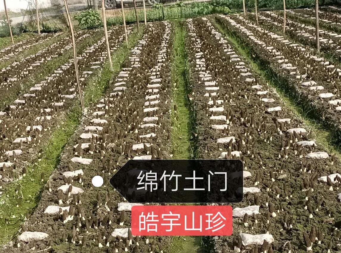&#98;&#115;&#112;&#111;&#114;&#116;&#115;&#45;&#98;&#40;&#20013;&#22269;&#41;&#19968;&#31449;&#24335;&#20307;&#32946;&#26381;&#21153;&#23448;&#26041;&#32593;&#31449;