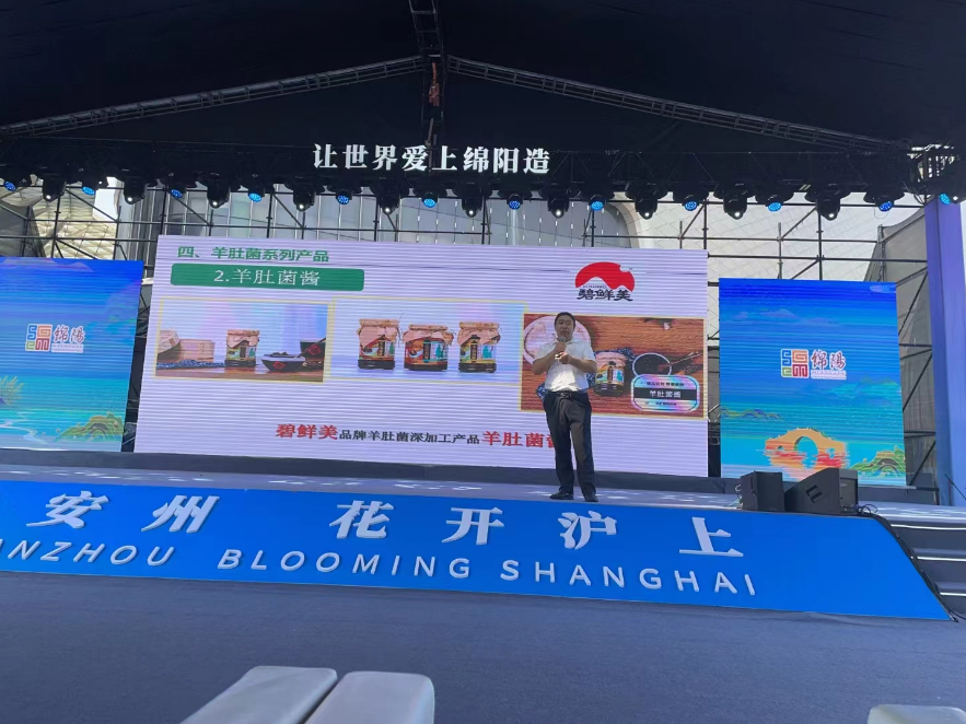 &#98;&#115;&#112;&#111;&#114;&#116;&#115;&#45;&#98;&#40;&#20013;&#22269;&#41;&#19968;&#31449;&#24335;&#20307;&#32946;&#26381;&#21153;&#23448;&#26041;&#32593;&#31449;